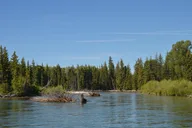 Jackson Hole Scenic Float Trip thumbnail 5