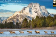 Yellowstone and Southern Utah 9-Day Tour thumbnail 4