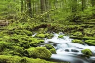 Seattle Olympic National Park Day Tour thumbnail 1