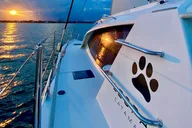 Charleston Harbor Catamaran Sail thumbnail 1