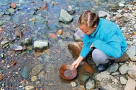 Juneau Gold Panning Adventure and Salmon Bake thumbnail 6