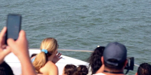 Ocean City Speedboat Tour with Dolphin Spotting 45 min - Image 6