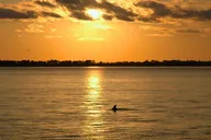 Destin Dolphin Cruise at Sunset 90 min thumbnail 5
