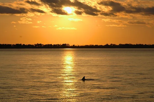 Destin Dolphin Cruise at Sunset 90 min - Image 5
