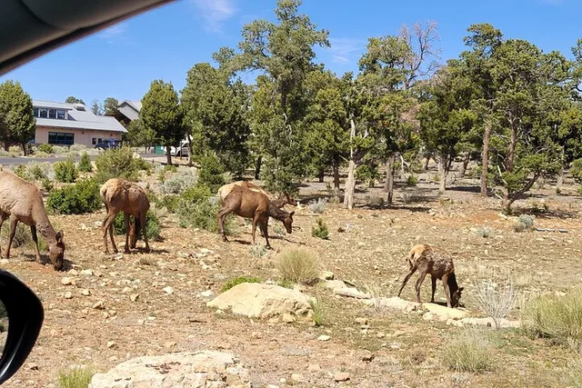 Grand Canyon Day Tour from Oak Creek Canyon - Image 6