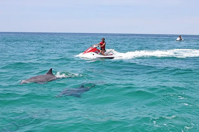 Okaloosa Island Waverunner Dolphin Tour 90 min - Image 1