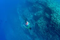Kauai Niihau and Na Pali Coast Snorkel Boat Tour thumbnail 6