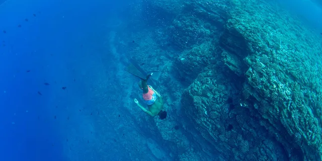 Kauai Niihau and Na Pali Coast Snorkel Boat Tour - Image 6