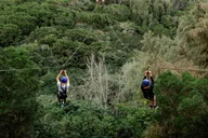 Oahu North Shore Zipline Adventure thumbnail 5