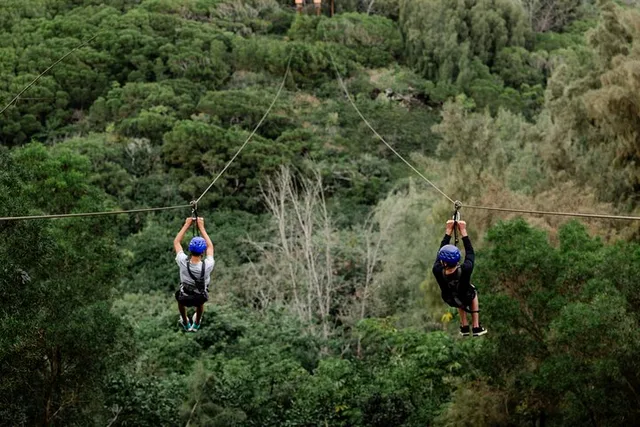 Oahu North Shore Zipline Adventure - Image 5