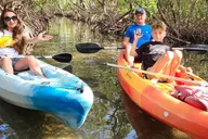 Sarasota Lido Key Mangrove Tunnel Kayak Tour 2 hr thumbnail 5