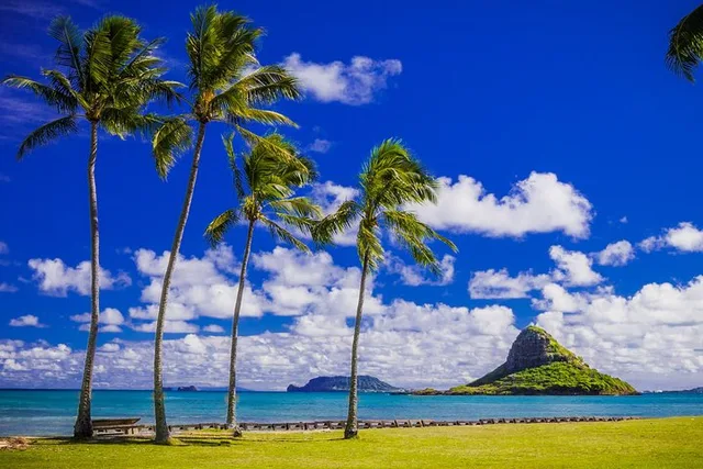 O'ahu Circle Island Tour with Lunch 9 hr - Image 3