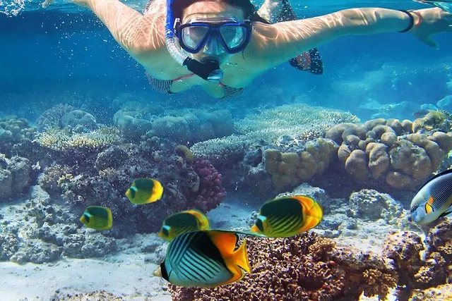 Waikiki Snorkel and Sail Adventure - Image 2