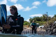 Koloa Shore Dive with Sea Turtles thumbnail 1