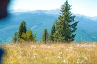 Idaho Springs Jeep Tour in the Scenic Backcountry thumbnail 6