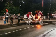 New York City Carriage Ride: Central Park & Rockefeller thumbnail 6