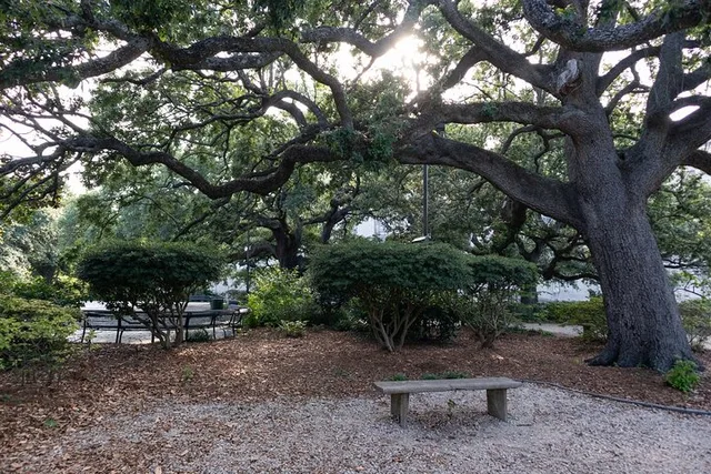 New Orleans Walking Tour: Heart of the City - Image 2