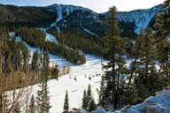 Las Vegas Mount Charleston Tour thumbnail 1