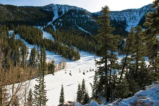Las Vegas Mount Charleston Tour