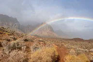 Las Vegas Hiking Tour at Spring Mountain 4 hr thumbnail 5