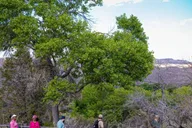 Las Vegas Spring Mountain Ranch Hike & Happy Hour thumbnail 4