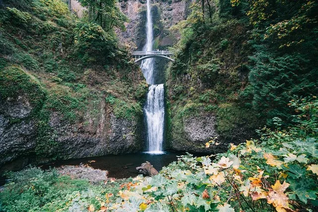 Portland Mt Hood Loop Tour - Image 2