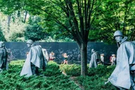 Washington DC Sightseeing Tour 3 hr thumbnail 3