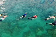 Key West Reef Snorkeling with Breakfast and Mimosas thumbnail 6