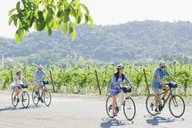 Napa Winery E-Bike Tour thumbnail 4