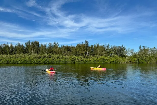 Vero Beach Kayak and Paddle Board Tour - Image 3