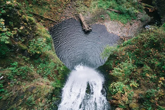 Portland Waterfalls Tour: Multnomah Falls & Columbia Gorge - Image 1