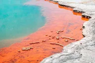 Salt Lake City Yellowstone & Grand Teton Tour 5 Days thumbnail 3