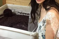 San Antonio Fredericksburg Wine Tour 7 hr thumbnail 4