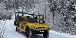 Estes Park Winter Wonderland Sledding Tour