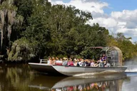 New Orleans Airboat Swamp Tour thumbnail 3