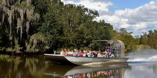 New Orleans Airboat Swamp Tour - Image 3