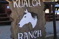 Oahu Circle Island Tour Full Day thumbnail 3