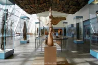 New York Metropolitan Museum of Art Private Tour thumbnail 2