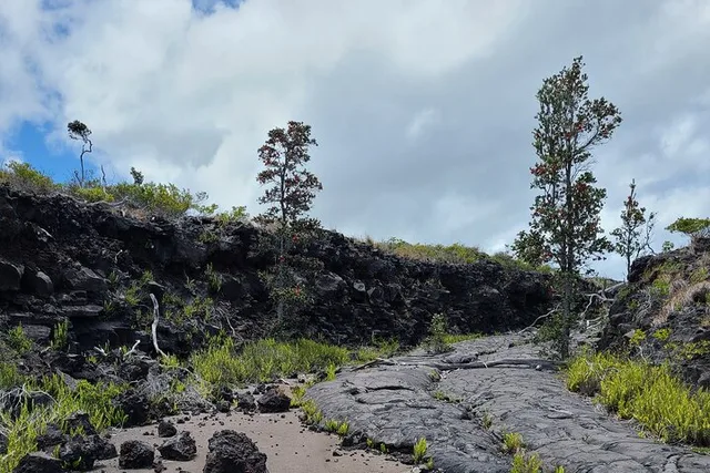Hilo Volcanoes National Park Private Tour - Image 5