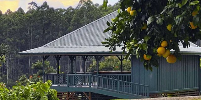 Hilo Chocolate Tasting Experience 1.5 hr - Image 3