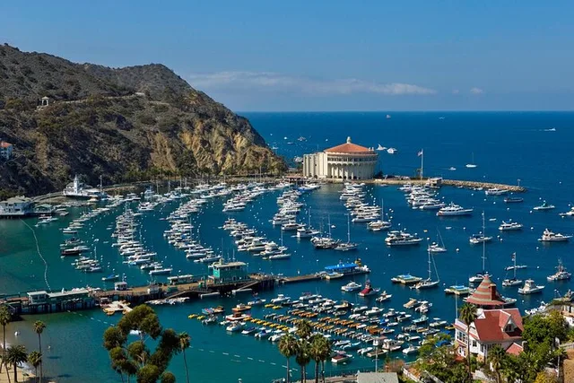 Catalina Island Avalon Scenic Tour - Image 5
