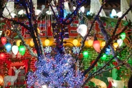 New York City Dyker Heights Christmas Lights Tour thumbnail 2