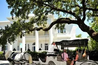 Charleston Private Horse-Drawn Carriage Tour thumbnail 3