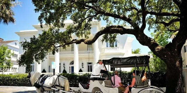 Charleston Private Horse-Drawn Carriage Tour - Image 3