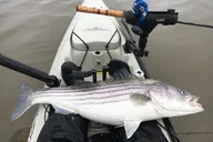 New York City Kayak Fishing Tour thumbnail 1
