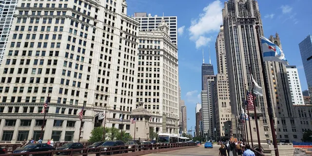 Chicago Architecture Walking Tour - Image 6