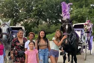 New York City Central Park Horse Carriage Tour thumbnail 3