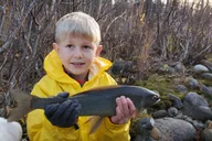Anchorage Fly-Fishing Tour with Hotel Pickup 8 hr thumbnail 5