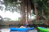 Hilo Wailoa River Kayak Tour to King Kamehameha Statue thumbnail 2