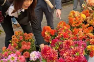 New York City Flower District Tour thumbnail 1